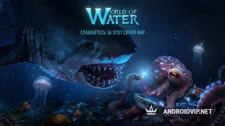 World of Water фото