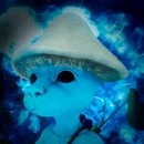 Остров Шайлушая