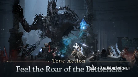 NIGHT CROWS фото 2