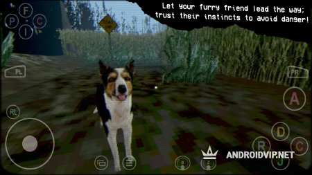 STAY OUT OF THE HOUSE фото 2