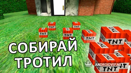 ПОБЕГ ОТ МИСТЕРА БИСТА фото