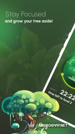 AFK Forest фото 2