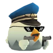 Private Gun