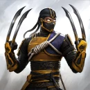Shadow Fight 4: Arena
