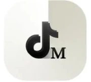 Mad TikTok